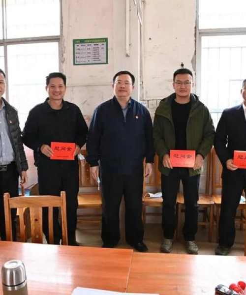 粤桂股份股价最新动态，投资热点与市场走势深度解析