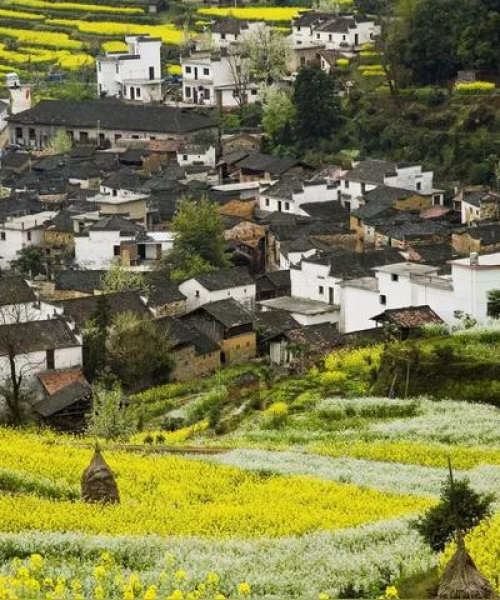 务源旅游攻略揭秘，探索神秘美丽的自然秘境！