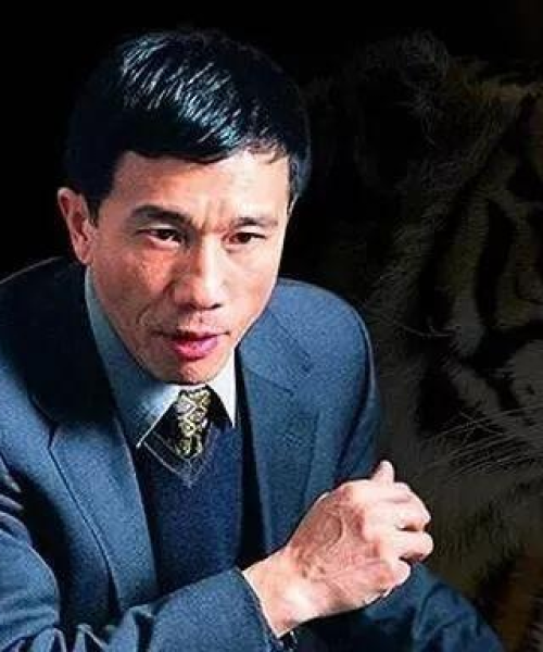 广汇股票拍卖最新动态揭秘，现状解析与未来展望