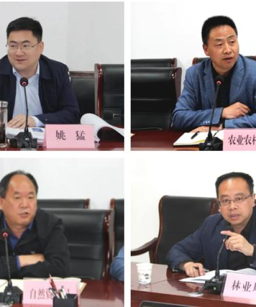 洛南县最新消息大揭秘，今日要闻综述