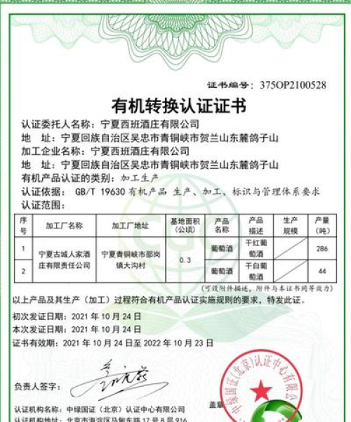女博士在世界500强的闪耀之路，排名背后的故事与启示