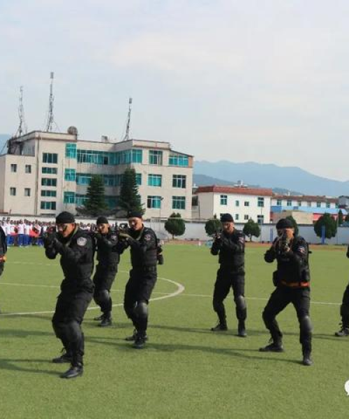 梁河新闻头条视频，地方动态的视觉捕捉与报道
