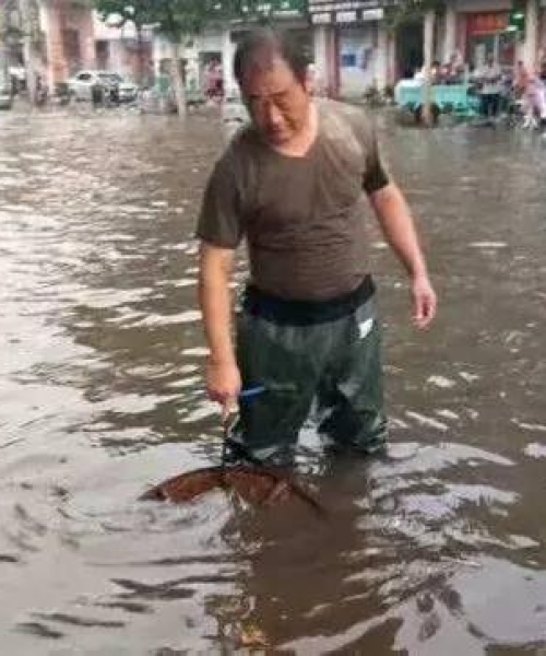 邯郸暴雨来袭，城市应对策略揭秘！