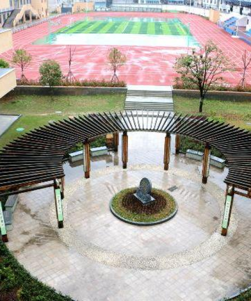 丽水庆元小学排名前十探秘，优质教育背后的秘密解读