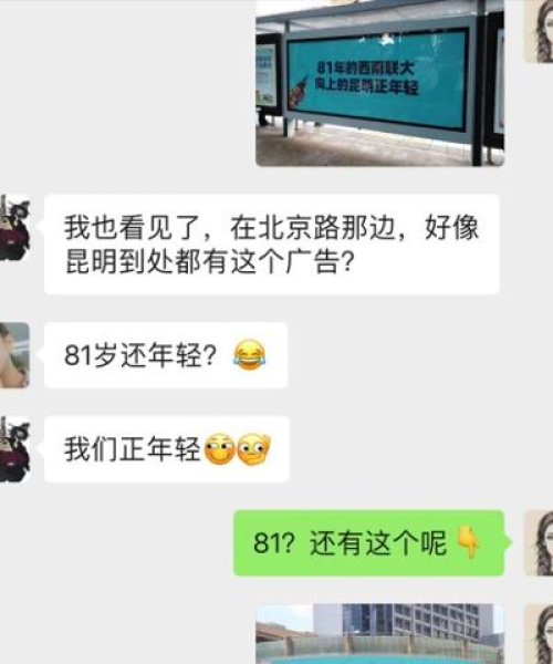 云南新闻网联动昆明热点，新闻聚焦，城市脉动