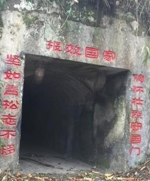 战线全新战术攻略秘籍大揭秘