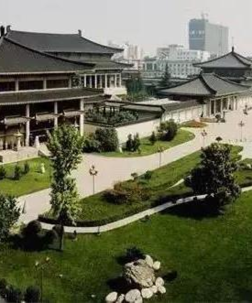 西安绿色旅游攻略，探寻古都的生态秘境