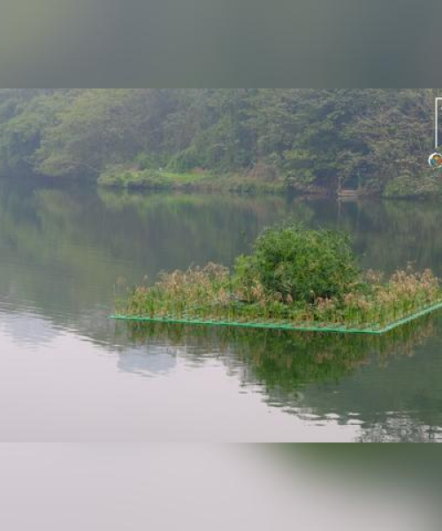 青岛环湖旅游攻略，揭秘城市绿洲的神秘面纱