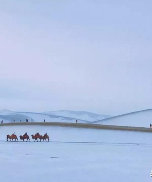 东北降雪最新消息，瑞雪纷飞交通动态需关注，预测天气变化兆丰年！