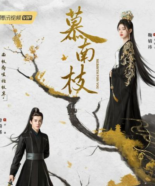 全球音乐风云榜，探索流行趋势与音乐魅力的神秘之旅
