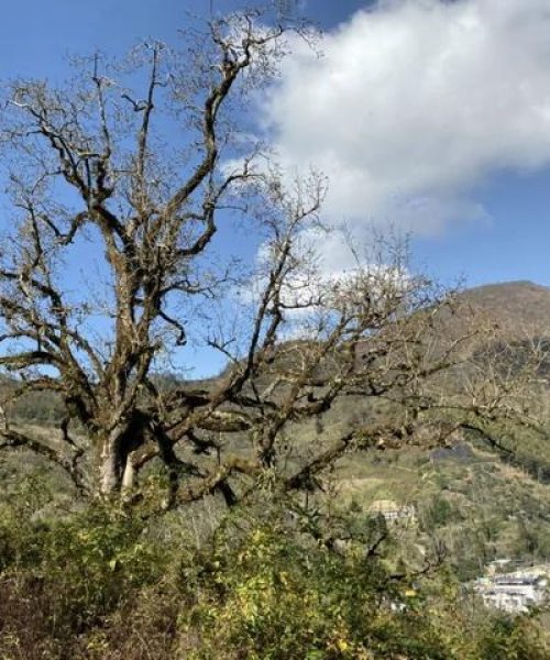 揭秘蜀地秘境，一份全面的四川旅游攻略
