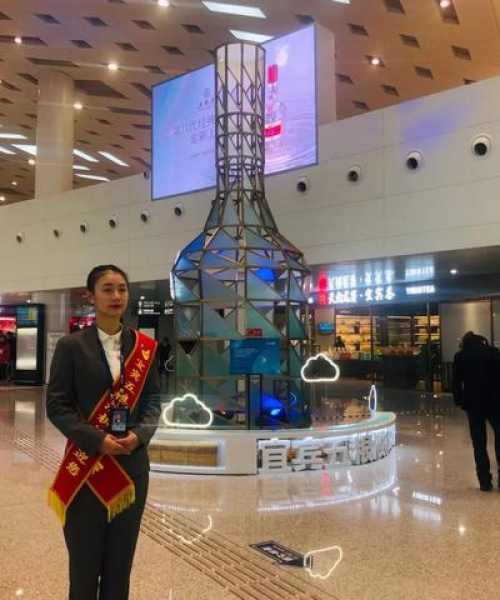 全球轨道公司排名揭秘，行业影响力深度解析