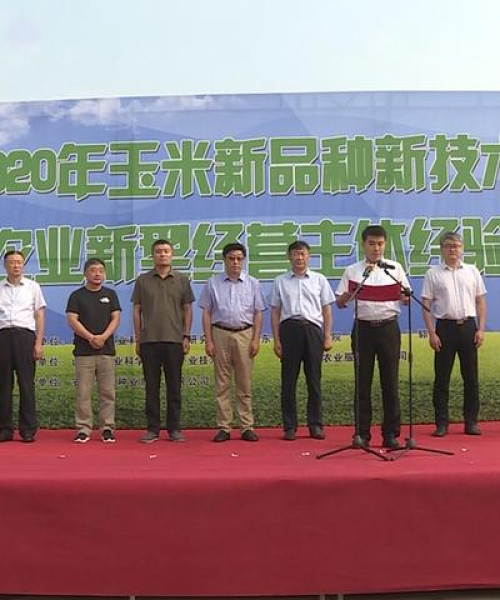 郓城玉米最新价格走势及分析，市场趋势与影响因素揭秘