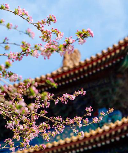 周末北京深度游，探寻古都精华之旅
