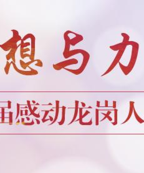 央视聚焦龙岗发展新动态，最新头条新闻报道