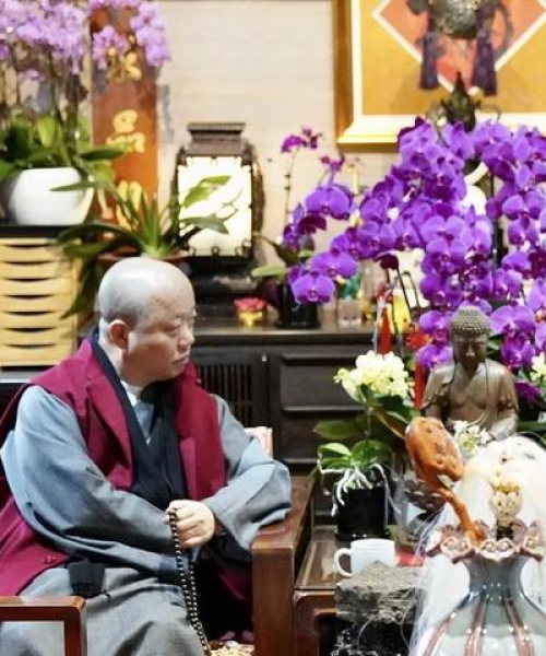 龙华古寺深度游攻略，探寻千年古刹的奥秘与独特魅力