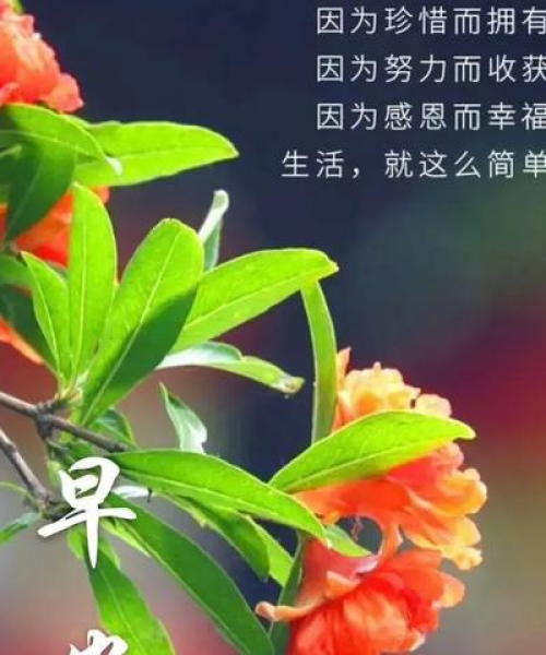 励志生活语录，追寻梦想的勇气与力量，激发无限潜能！
