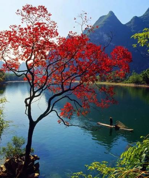 桂林山水旅游攻略大揭秘，畅游绝美风光，尽享自然盛宴！