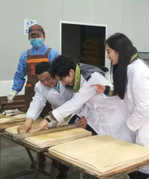 杨幂生平揭秘与百度网盘，深度解读二者的神秘关联