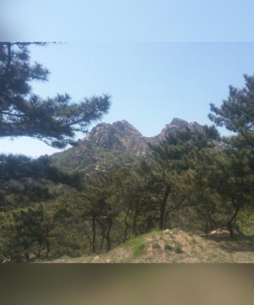 青岛游玩全攻略，旅游与消费指南