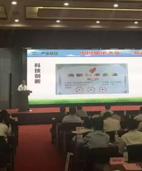 临西最新新闻通报，县域发展新动态速递