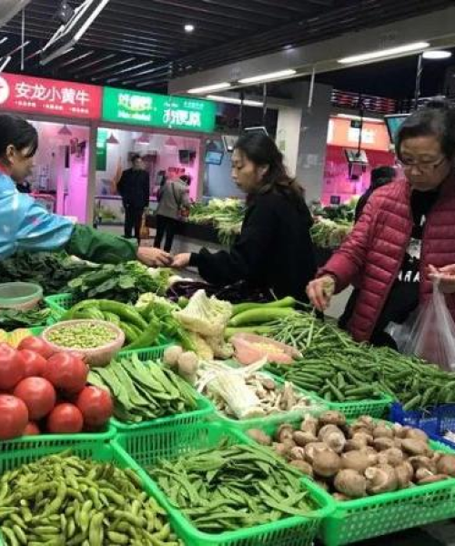 宁波蔬菜价格今日行情，最新报价、市场走势及影响因素深度解析