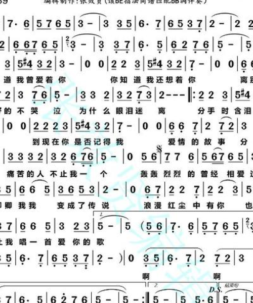 红尘情歌，真挚演绎的情感传奇视频