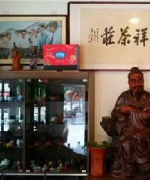 揭秘全球十大顶级茶叶产地排名，品味故乡的珍稀佳茗