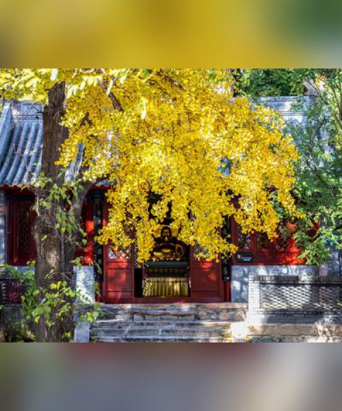 沙河最新动态速递，今日头条通知栏，一手资讯随时掌握