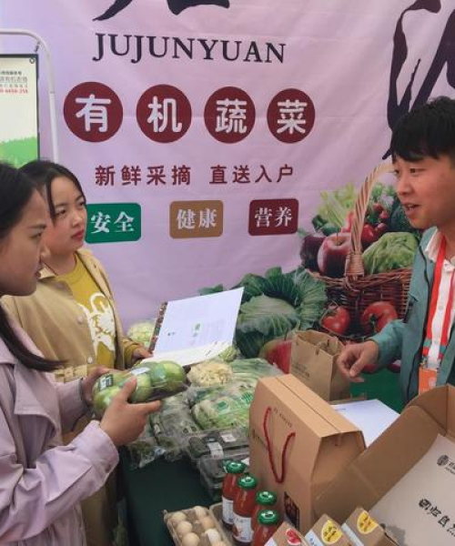 问道直播合成攻略，最新视频教你轻松掌握合成技巧，零基础也能轻松上手！