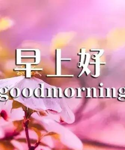 励志毅力语录，毅力铸就辉煌人生