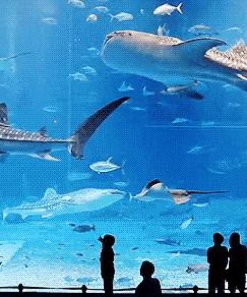 珠海市区深度游攻略，探寻城市魅力之旅