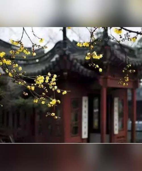 春节免票畅游，佳节美景不打烊