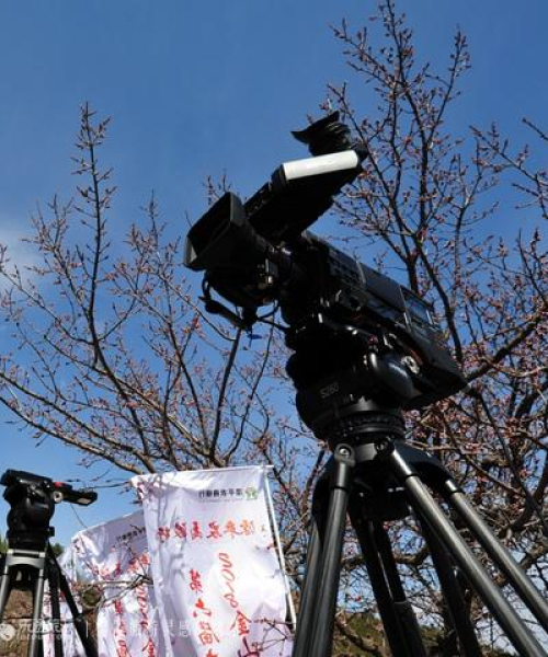 山海关一日游全攻略，探秘古老关口，领略无限魅力