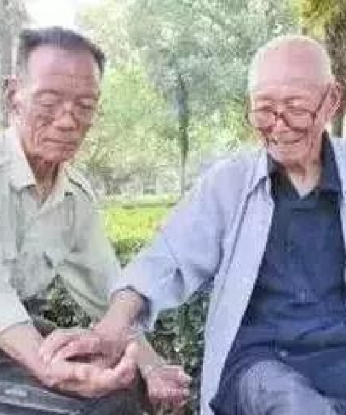 香港长寿之谜，全球排名背后的健康之道探寻