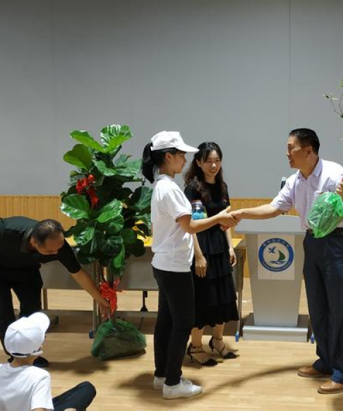 澳洲花圃公司排名揭晓，行业领军者的成功秘诀探究