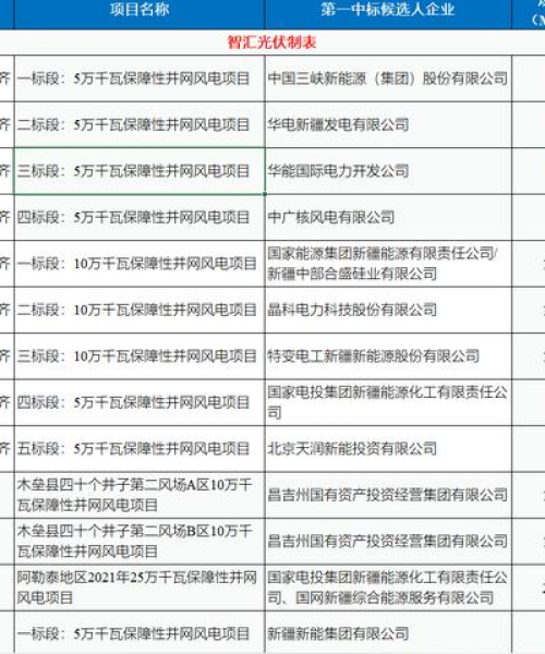 华电新疆分公司实力排名与地位揭秘