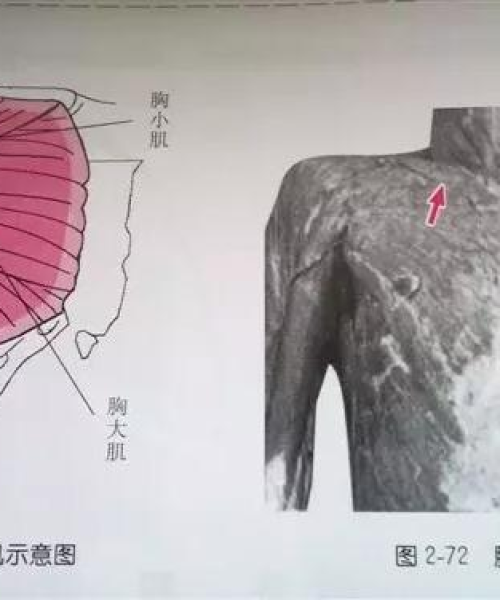 胸骨后疼痛真相大揭秘，深度解析，百度带你了解全面信息