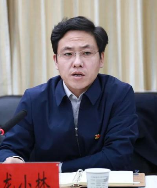 临洮交警部门积极应对交通挑战，保障市民安全出行，最新头条新闻