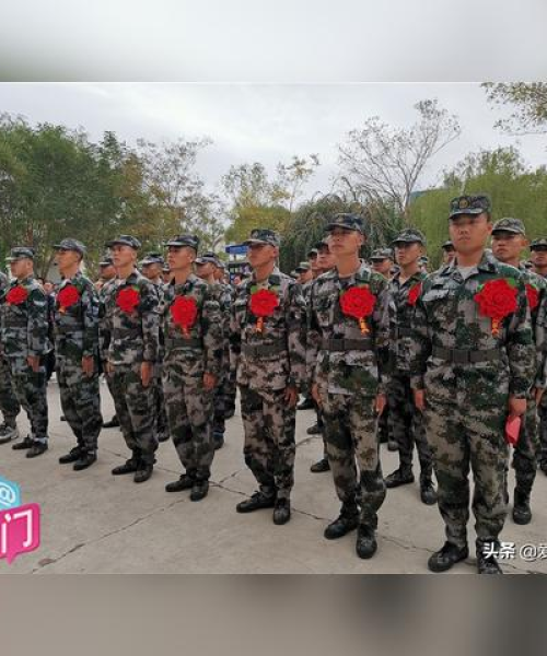 玉门红花最新价格走势及分析，市场趋势与影响因素揭秘