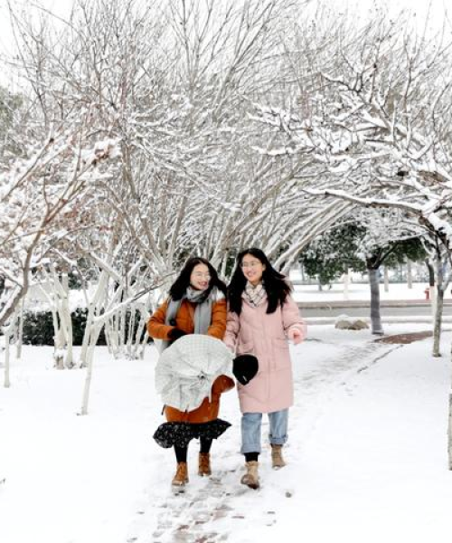 临沂暴雪来袭！最新消息今日大揭秘