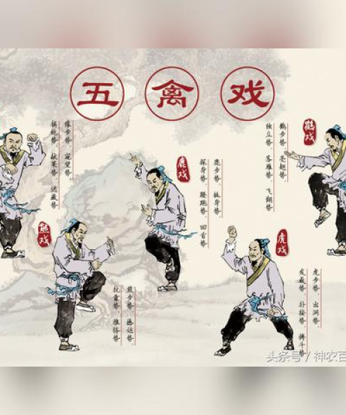 五禽戏，千年养生秘诀，探寻古老的中国健康智慧