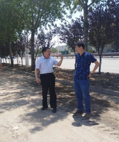临清组团游玩全攻略，探索之旅的绝佳指南