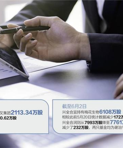 今日股市持仓内幕揭秘，市场动向深度解析与应对策略应对