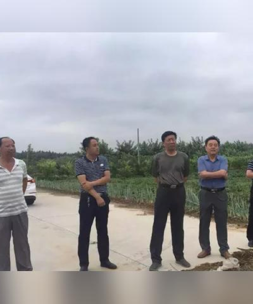 邢台国槐探秘之旅，绝美风光等你来发现！