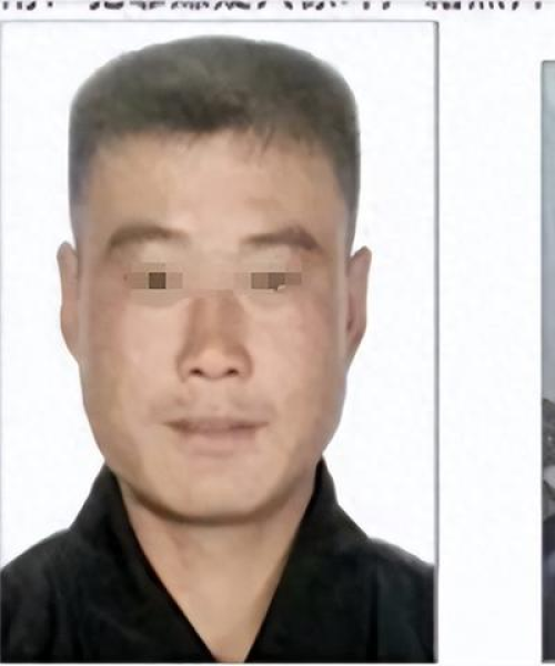 龙江最新事件揭秘，今日消息全解析