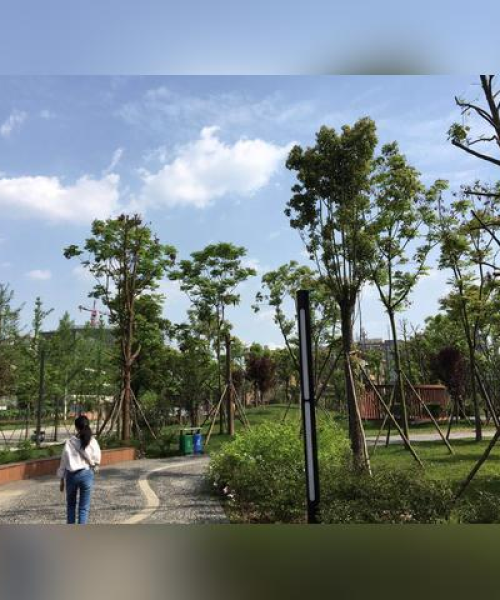 简阳今日气温排名查询最新出炉，气候舒适度分析与城市气候状况大解析