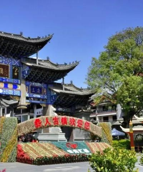 楚雄今日猪价走势分析，最新行情速览