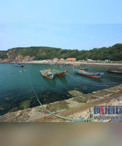 鸡鸣岛打卡攻略，最新流程揭秘，畅游海岛好去处！