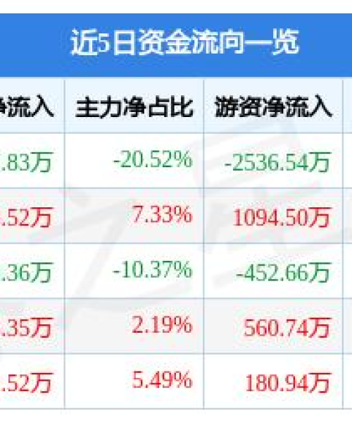 黑芝麻公司行业排名大揭秘，探寻行业内的关键力量！